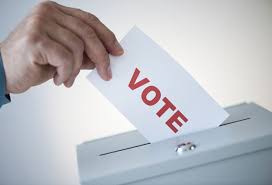 Bagged trees - voting
